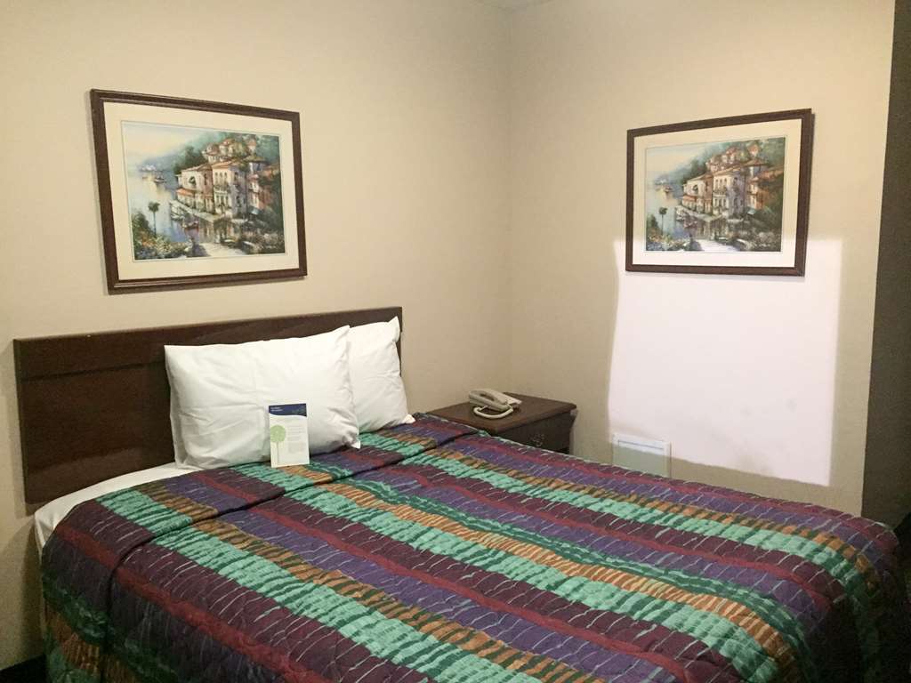 Motel 6-Greenville, Sc Room photo